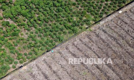 Foto udara pembukaan lahan baru dan perkebunan kelapa sawit di kawasan Suaka Margasatwa Rawa Singkil Desa Lhok Raya, Kecamatan Trumon Tengah, Aceh Selatan, Aceh. Anggota Komisi VI DPR RI Nusron Wahid mendukung rencana Menteri Koordinator Bidang Maritim dan Investasi Luhut Binsar Pandjaitan  mengaudit lahan hak guna usaha (HGU) yang ditanami kelapa sawit.