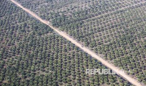 Aerial view of palm oil plantation in Ogan Komering Ilir (OKI), South Sumatra.