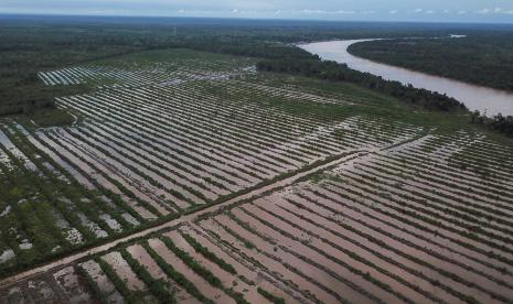 Foto udara petakan persawahan ekstentifikasi lahan di Desa Pilang, Kabupaten Pulang Pisau, Kalimantan Tengah. Head of Agriculture Research dari Center for Indonesian policy Studies (CIPS), Aditya Alta, mengatakan, komitmen ENDC Indonesia memuat strategi mitigasi di sektor Forestry and Other Land Uses (FOLU) antara lain melalui restorasi hingga dua juta hektar lahan gambut tahun 2030, reforestasi dan rehabilitasi hutan. Namun proyek Food Estate malah mengambil 900.000 hektar di kawasan eks-pengembangan lahan gambut di Kalimantan Tengah