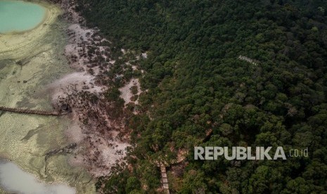 Foto udara sebagian hutan yang terbakar di Wisata Alam Kawah Putih yang berada di Pegunungan Patuha, Ciwidey, Kabupaten Bandung, Jawa Barat, Sabtu (12/10/2019).