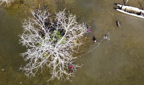 Foto udara sejumlah anak Suku Bajo mencari ikan di sekitar pohon mangrove kering, Kelurahan Petoaha, Kendari, Sulawesi Tenggara, Senin (9/8). Menteri Kelautan dan Perikanan Sakti Wahyu Trenggono mengatakan Presiden Joko Widodo (Jokowi) telah menandatangani Peraturan Pemerintah (PP) Nomor 85 Tahun 2021 tentang Jenis dan Tarif Atas Jenis Penerimaan Negara Bukan Pajak yang Berlaku pada Kementerian Kelautan dan Perikanan.