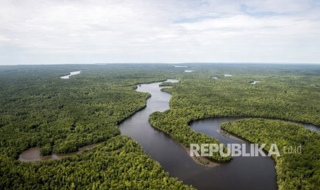 Hutan Papua menyimpan tanaman tertinggi di dunia. Foto udara sungai berkelok membelah hutan di Kabupaten Mimika, Papua, Senin (29/1). 