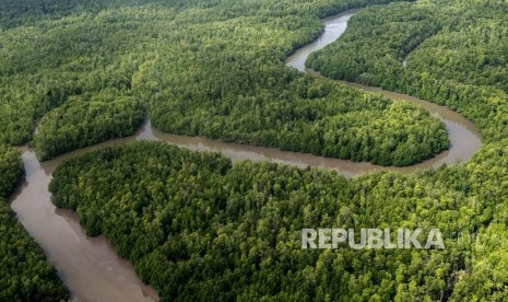 Foto udara sungai berkelok membelah hutan di Kabupaten Mimika, Papua, Senin (29/1). 