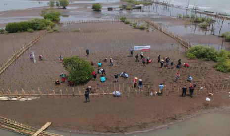 Warga menanam bibit bakau di Pesisir Pantai Kandang Panjang, Kabupaten Pekalongan, Jawa Tengah, Rabu (21/9/2022). 