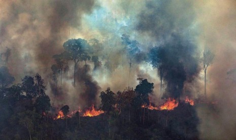 Data pemerintah Brasil menunjukkan bahwa titik api di hutan hujan Amazon pada bulan Juni meningkat 20 persen dibanding periode sama tahun lalu (Foto: ilustrasi kebakaran hutan Amazon)