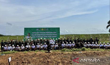 Gabungan Pengusaha Kepala Sawit Indonesia (GAPKI) bersama Kementan RI dan mitra usai melaksanakan tanam perdana peremajaan sawit rakyat (PSR) tumpang sari dengan tanaman Padi Gogo.