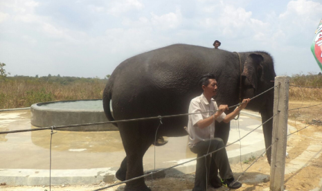 Gajah bersama pawangnya di Taman Nasional Way Kambas.