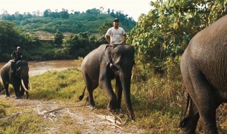 Gajah di Kawasan Ekosistem Leuser, Aceh Timur