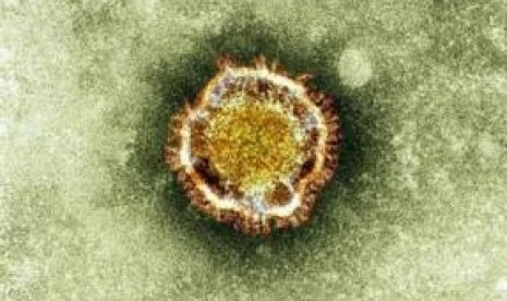 Gambar coronavirus dalam ukuran mikroskopis