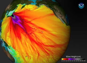 gambar tsunami Jepang 11 Maret dari Center for Tsunami Research, NOAA Pacific Marine Environmental Laboratory 