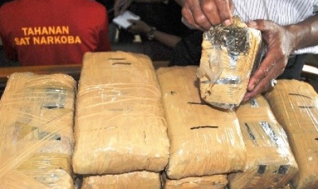 Ganja kering yang berhasil disita polisi.