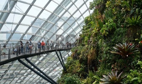 Gardens by the Bay, salah satu atraksi wisata baru di Singapura. Di ruang hijau ini turis bisa menikmati beragam tanaman yang ditata secara fantastis.