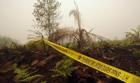 Garis larangan melintas oleh Penyidik Pegawai Negeri Sipil (PPNS) Kementerian Kehutanan terpasang di lahan yang diduga sengaja dibakar di Gambut Jaya, Muaro Jambi, Selasa (15/9).