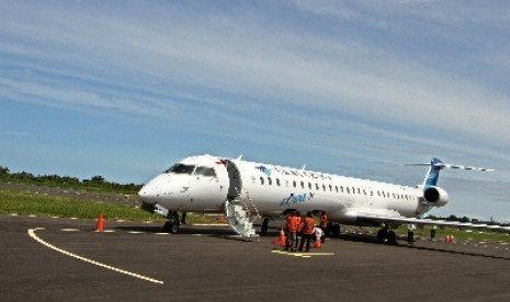 Garuda's airplane (illustration)