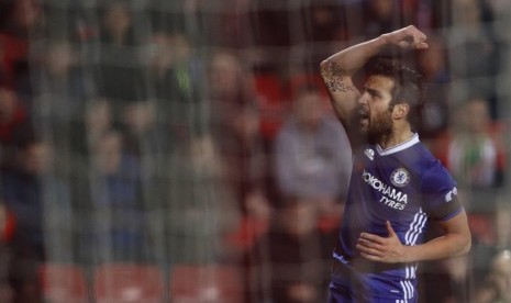 Gelandang Chelsea, Cesc Fabregas merayakan golnya ke gawang Sunderland pada laga Liga Primer di Stadium of Light, Kamis (15/12) dini hari WIB. Chelsea menang 1-0.