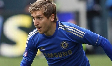 Gelandang Marko Marin