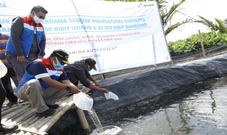 General Manajer Pertamina RU IV Joko Pranoto menabur benih udang windu di area tambak Dusun Bondan Desa Ujungalang Kecamatan Kampung Laut Kabupaten Cilacap, Sabtu (25/7).