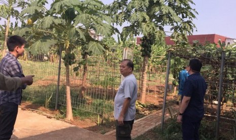 Generasi muda mengarahkan petani menggunakan pupuk organik untuk menjaga unsur hara dalam tanah