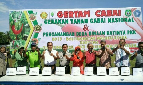 Gerakan tanam (Gertam) cabai di Sofifi, Maluku Utara, Ahad (26/2/2017) dihadiri oleh Ketua TP PKK Malut, Kepala BPTP Balitbangtan Malut, Kapuslitbanghorti, Kadis Pertanian, Kadis Pangan, Kepala BI, Persit KCK Tidore, Kepala Balai Karantina Pertanian, dan Camat Oba Utara.