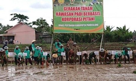 Gerakan tanam padi Berbasis Korporasi Petani