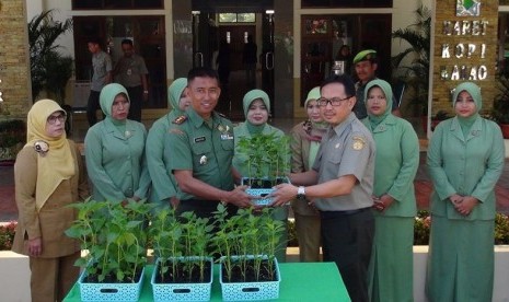 Gertam Cabai di Sukabumi