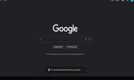 Google sedang bereksperimen dengan antarmuka pengguna (UI) mirip Discover. Alih-alih menggunakan format feed, UI meluncurkan informasi dalam tumpukan kartu horizontal.