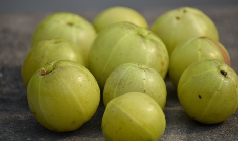 Gooseberry India atau dikenal dengan buah amla sering kali diremehkan dan dibiarkan begitu saja (Foto Buah Amla atau Malaka)