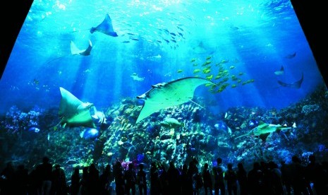 Grand Aquarium Ocean Park Hong Kong