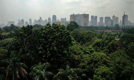 Greenery in Senayan area, Jakarta (illustration)