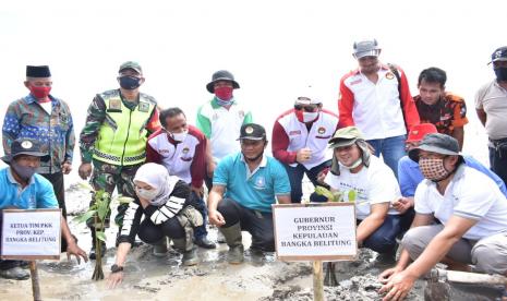 Gubernur Bangka Belitung (Babel) Erzaldi, melakukan penanaman mangrove dan menyampaikan rencananya untuk mengembangkan kawasan hutan mangrove.