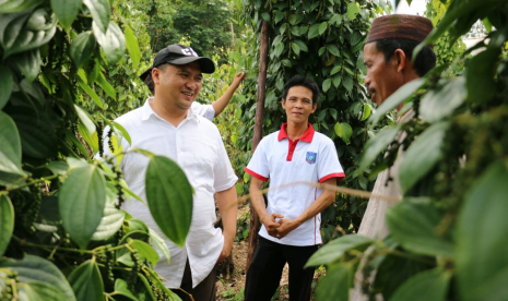 Gubernur Bangka Belitung, Erzaldi Rsoman Djohan bersama petani Lada mempersiapkan Resi Gudang Lada yang akan dirilis November 2017.