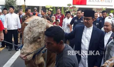 Gubernur DKI Jakarta Anies Rasyid Baswedan turut berkurban seekor sapi jenis limousin dan menyerahkannya kepada panitia kurban Pemerintah Provinsi DKI usai shalat berjamaah di Halaman Balai Kota DKI Jakarta, Rabu (22/8) pagi.