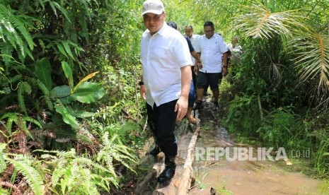 Gubernur Erzaldi Rosman Djohan blusukan di wilayah Bangka Selatan (Basel), untuk memantau perkembangan pertanian lada di Basel.