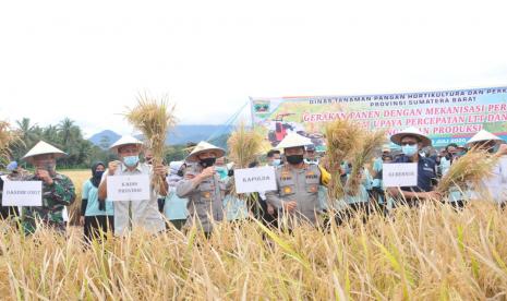 Gubernur Irwan Prayitno bersama Kapolda Sumatera Barat Irjen Pol Toni Harmanto melakukan panen raya di hamparan sawah kelompok tani (Poktan) Sawah Padang Nagari Minangkabau Kecamatan Sungayang Kabupaten Tanah Datar, Rabu pagi (8/7)