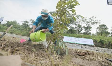 Gubernur Jawa Barat (Jabar) Ridwan Kamil bersama bupati/wali kota se-Jabar saat menanam pohon di Area Bantaran Anak sungai Ciliwung di Desa Bojong Koneng, Babakan Madang, Kabupaten Bogor, Selasa (30/11/2021)