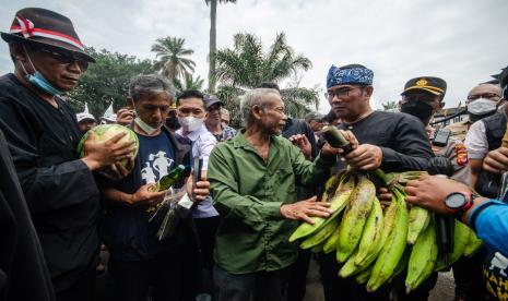 Gubernur Jawa Barat Ridwan Kamil (kedua kanan) menerima hasil tani dari Petani yang tergabung dalam Asosiasi Pengelola Perhutanan Sosial Indonesia (AP2SI) Jawa Barat saat aksi unjuk rasa di depan Gedung Sate, Bandung, Jawa Barat, Senin (26/9/2022). Aksi tersebut sebagai bentuk apresiasi terhadap undang-undang pokok agraria serta menuntut pemerintah untuk menerbitkan pergub serta perda tentang skema pembiayaan penetapan tata kelola tanah objek reforma agraria dan perhutanan sosial hingga jaminan harga pasar kepada petani. 