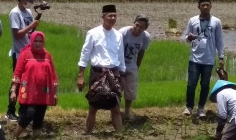 Gubernur Jawa Tengah, Ganjar Pranowo (berpeci) saat turun ke sawah ikut menanam padi metode Jajar Legowo, di Desa Ngrapah, Kecamatan Banyubiru, Kabupaten Semarang, Senin (22/10).