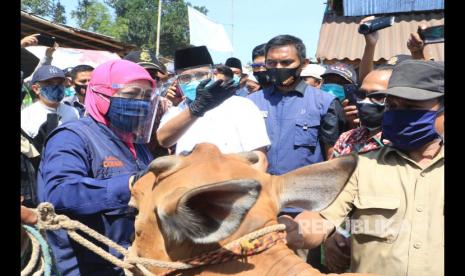 Gubernur Jawa Timur Khofifah Indar Parawansa meninjau sentra-sentra penjualan hewan kurban di Pasar Hewan Tanah Merah Bangkalan serta Kelompok Tani Ternak ‘Usaha Bersama’ di Desa Pettong, Kecamatan Tanah Merah, Kabupaten  Bangkalan, Sabtu (25/7).