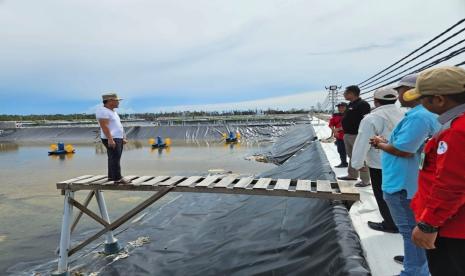 Gubernur Kalimantan Sugianto Sabran, saat menyambangi kawasan shrimp estate di Desa Sungai Raja, Kabupaten Sukamara, Selasa (9/1/2024).