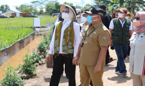 Gubernur Kalimantan Tengah (Kalteng) Sugianto Sabran melakukan peninjauan di kawasan Food Estate Belanti Siam, Kabupaten Pulang Pisau, Sabtu (6/11). Turut hadir Ketua TP-PKK Prov Kalteng Ivo Sugianto Sabran, Wakil Gubernur Kalteng H. Edy Pratowo, Pj. Sekda Prov Kalteng H. Nuryakin, serta pihak terkait lainnya.