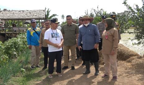 Gubernur Kalteng ingin pastikan program Food Estate berjalan baik dan sesuai harapan.