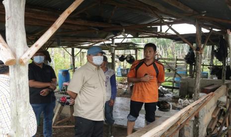 Gubernur Kepulauan Bangka Belitung (Babel), Erzaldi Rosman berkunjung ke PT SWP (Steelindo Wahana Perkasa) di Desa Senyubuk, Kelapa Kampit Belitung Timur, Ahad (14/3). Kunjungan ini guna menyampaikan sekaligus memfasilitasi para peternak sapi yang membutuhkan bungkil sawit sebagai campuran pakan sapi.