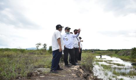 Gubernur Kepulauan Bangka Belitung (Babel), Erzaldi Rosman bersama Kepala Dinas Pertanian Babel, Juaidi dan Kepala UPTD Balai Benih Pertanian Babel, Judnaidi meninjau lokasi persawahan Desa Kepoh, Kecamatan Toboali, Kabupaten Bangka Selatan, Rabu (2/12). 