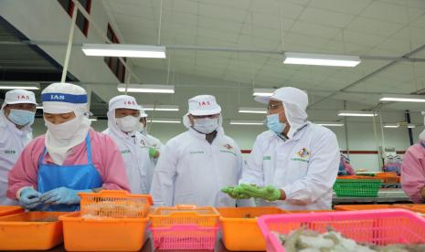 Gubernur Kepulauan Bangka Belitung (Babel), Erzaldi Rosman menunjukkan keseriusannya untuk meningkatkan produksi perikanan dari sektor budidaya, salah satunya udang vaname. Hal ini dibuktikan setibanya di Terminal Eksekutif Pelabuhan Bakauheni Lampung, Orang nomor satu di Babel tersebut langsung menuju ke PT. Indocom Samudra Persada, Kabupaten Lampung Selatan, Provinsi Lampung, Rabu (23/6). 