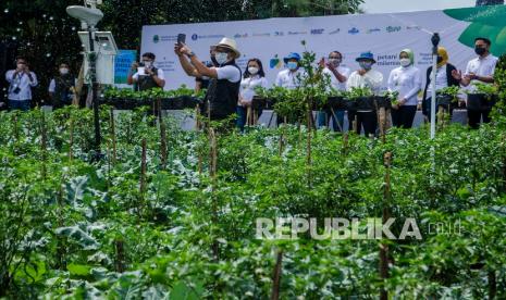 Gubernur Provinsi Jawa Barat Ridwan Kamil menggunakan aplikasi pada gawai untuk bertani di lahan pertanian desa Suntenjaya, Kabupaten Bandung Barat, Jawa Barat, Jumat (26/3/2021). Pemerintah Provinsi Jawa Barat meluncurkan program Petani Milenial yang mengusung konsep pertanian modern dengan teknologi yang dikelola oleh generasi muda sebagai upaya mengurangi angka pengangguran dan menahan laju urbanisasi dengan berbisnis di desa. 