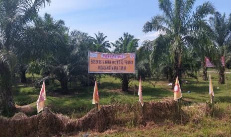 Gugatan perdata atas lahan HGU aktif Nomor 62 kebun Penara.