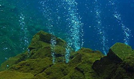 Gunung Api Bawah Laut