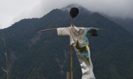 Gunung Cyclops terlihat dari Pos Tujuh, Sentani, Jaya Pura, Rabu (20/3/2019). 