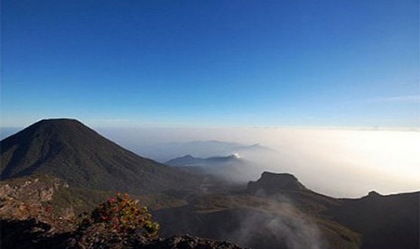 Gunung Gede