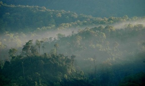 Ilustrasi Gunung Halimun. Sebanyak 99 replika masjid dari 26 negara tersebut akan dibangun di area yang berada di kaki Gunung Halimun dengan luasan mencapai 215 hektare. Sebelumnya, pada Orde Baru, lahan tersebut merupakan perkebunan cengkeh.